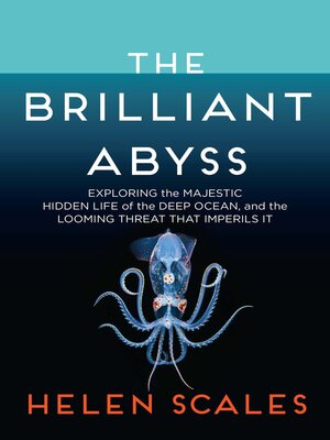 cover image of The Brilliant Abyss